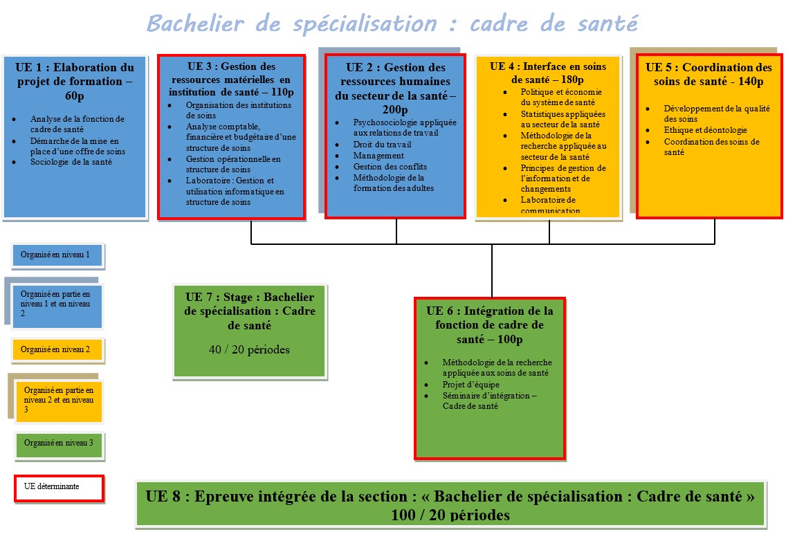 organigramme cds
