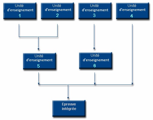 organigramme formation EA