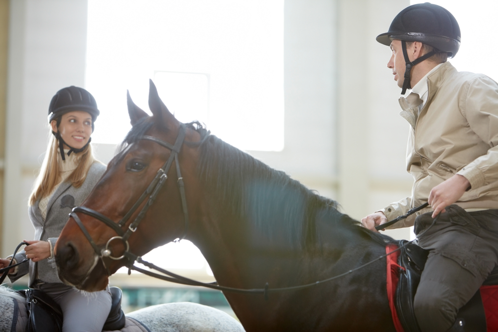 Mon royaume pour un cheval 