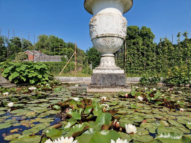 Des cours de promotion sociale au Potager classé du parc de Mariemont