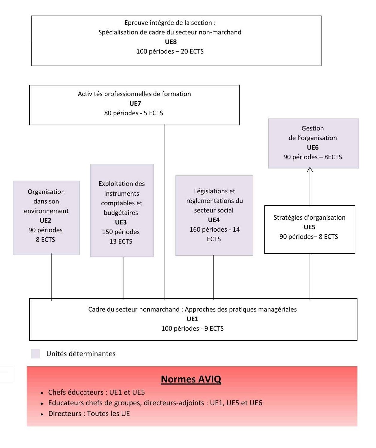 BS CSNM Organigramme.pdf