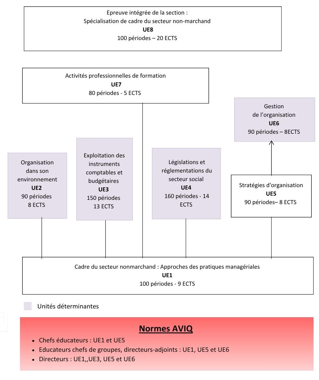 BS CSNM Organigramme.pdf