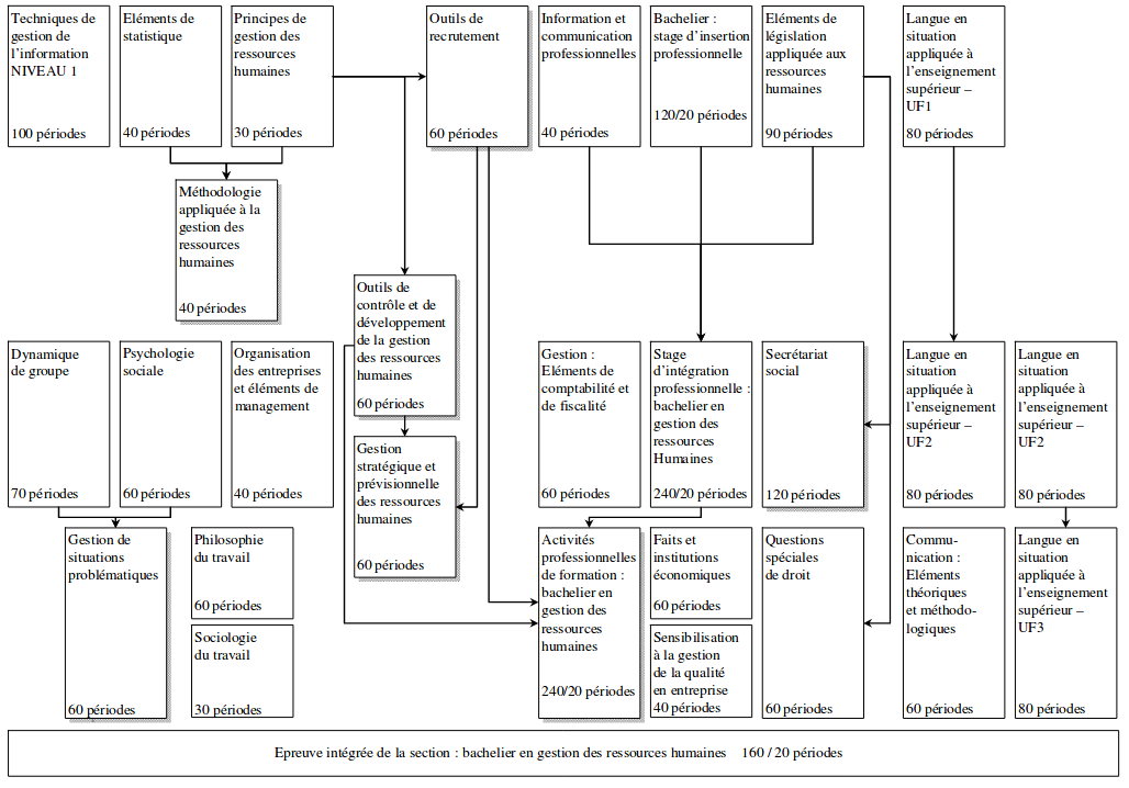 Organigramme GRH