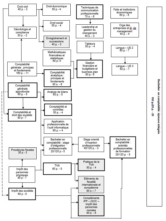 Organigramme Compta