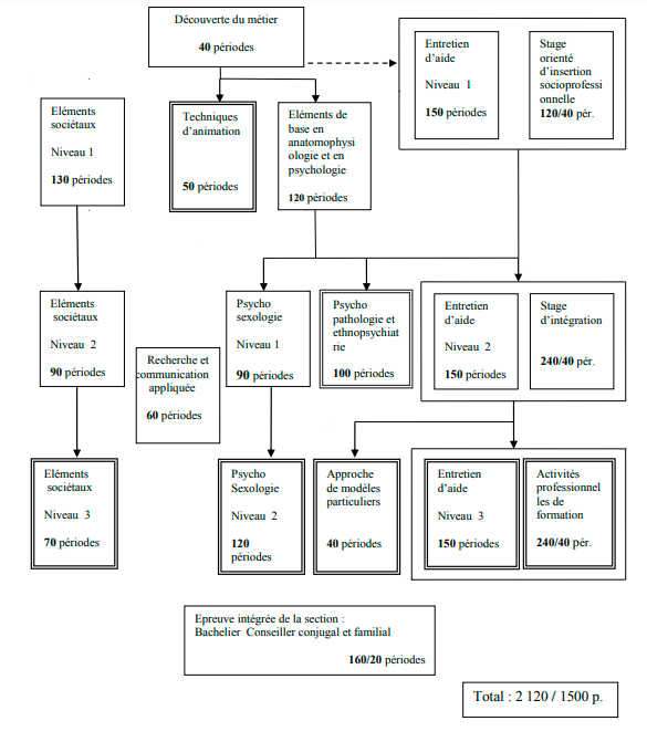 ccf organigramme