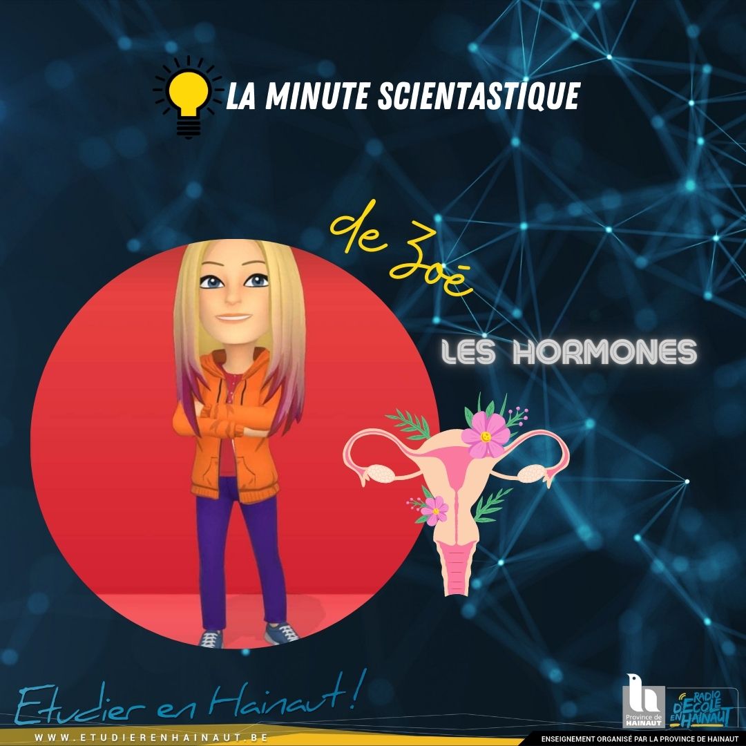 La Minute scientastique : les hormones