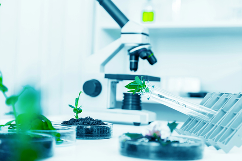BIOTECHNIQUE, nouvelle option à l'IESPP Tournai, dès la rentrée 25-26