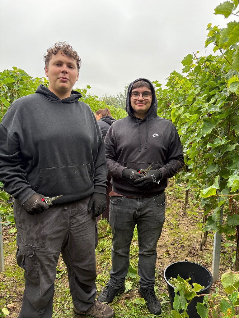 whatsapp image 2026 09 14 at 15.58.54 3
